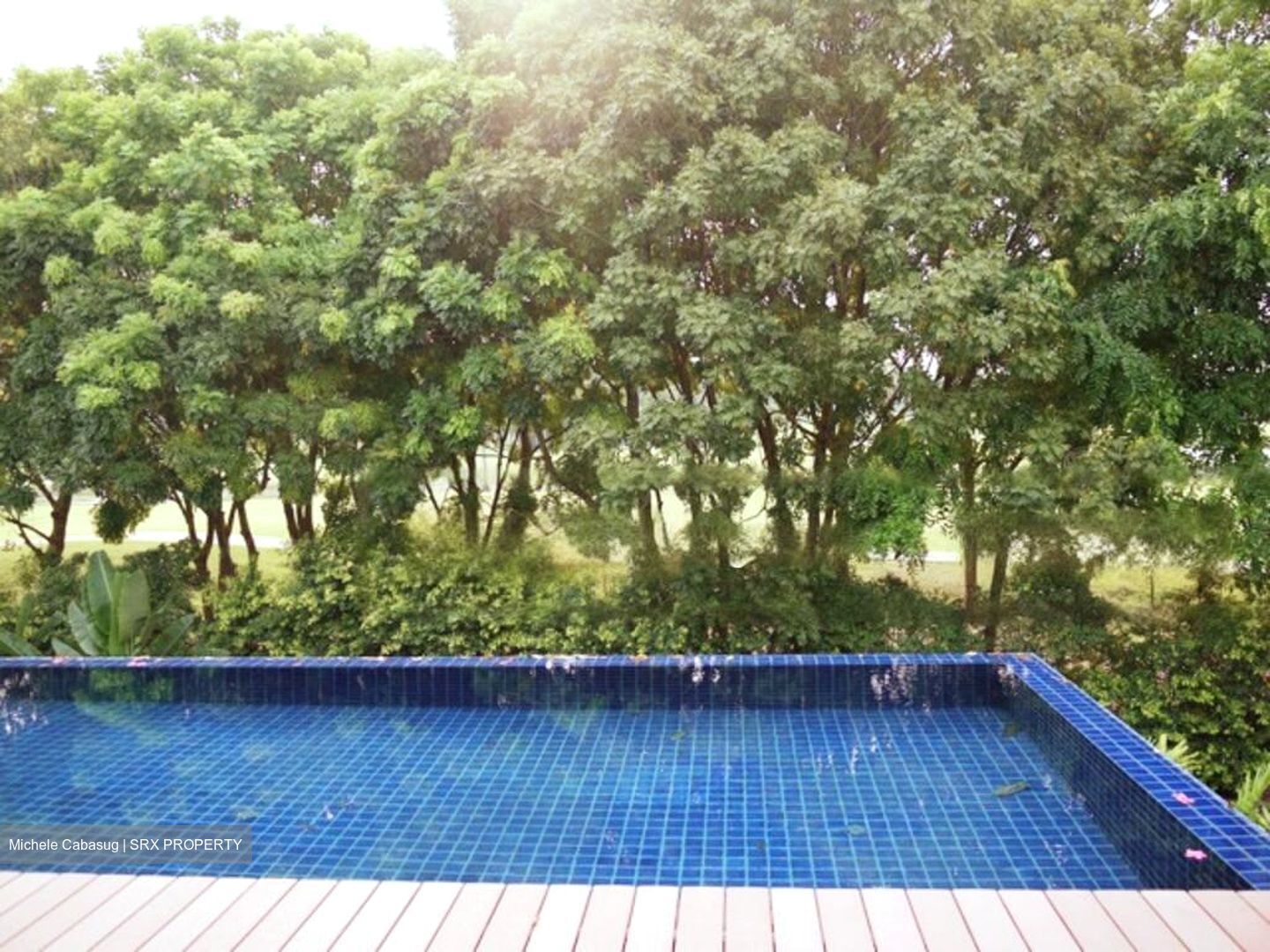 Sentosa Cove (D4), Detached #476694281